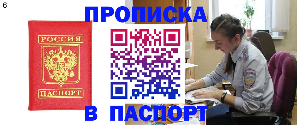 прописка гарантия в Новозыбкове