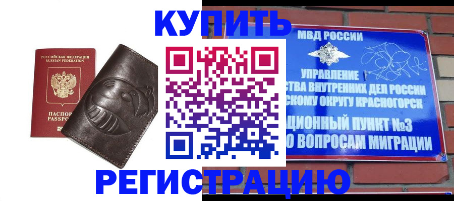 прописка в квартире в Новозыбкове